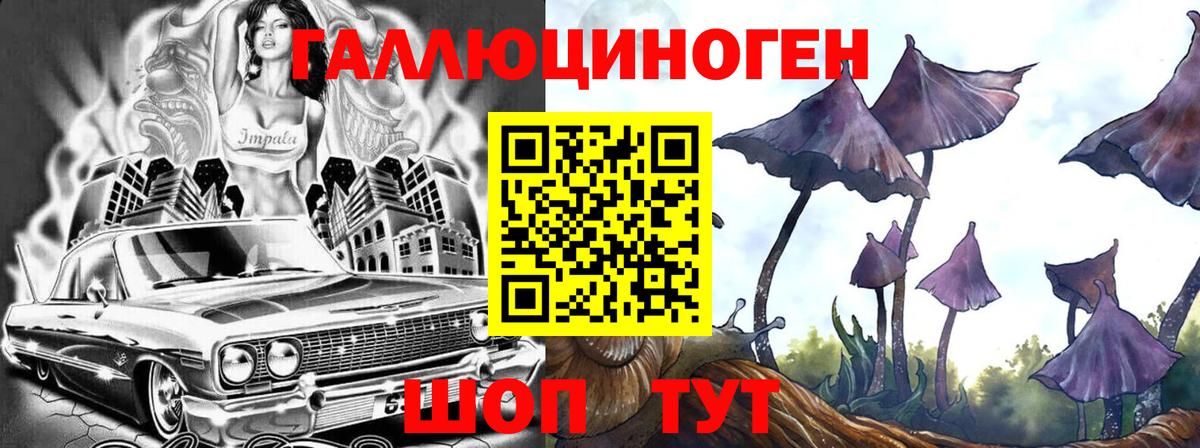 Псилоцибиновые грибы Cubensis Нефтеюганск
